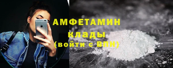 гидра Инта