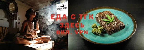 гидра Инта