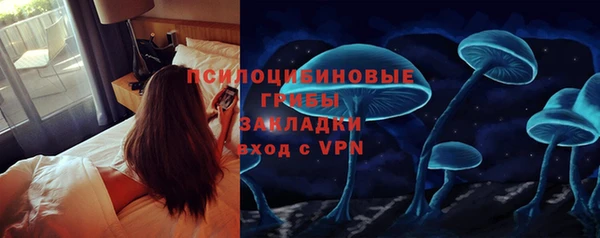 гидра Инта