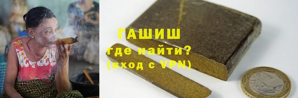 гидра Инта