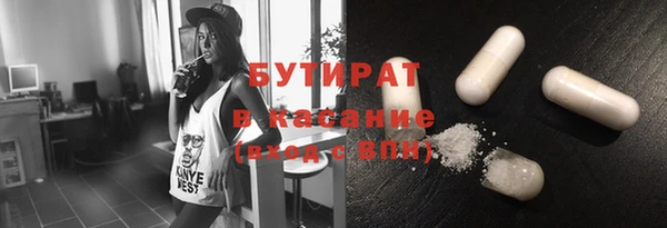 гидра Инта