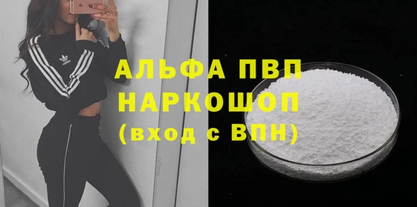 гидра Инта