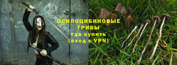 ешки Инсар