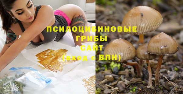 ешки Инсар