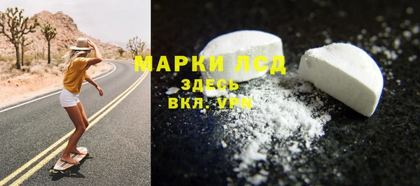 гидра Инта