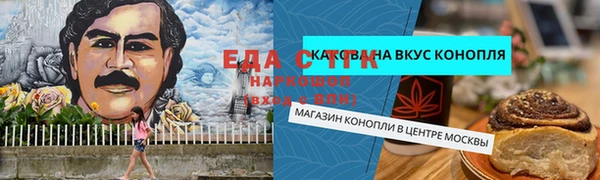 гидра Инта