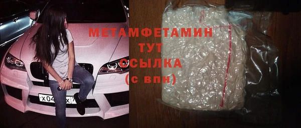 гидра Инта