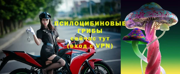 ешки Инсар