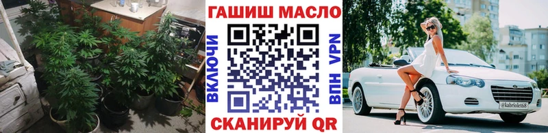 Купить закладки  Реж  ТГК вейп 
