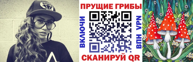 Псилоцибиновые грибы Psilocybine cubensis  Купить  Реж 
